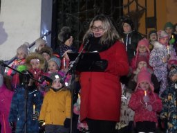 Rozsvícení vánočního stromu 2023